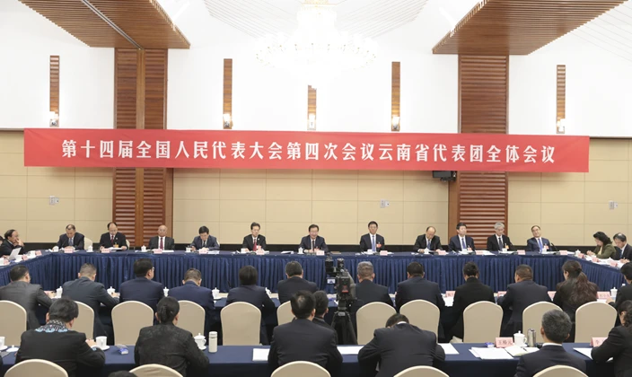 云南省代表团举行全体会议 继续审议全国人大常委会工作报告和两高工作报告